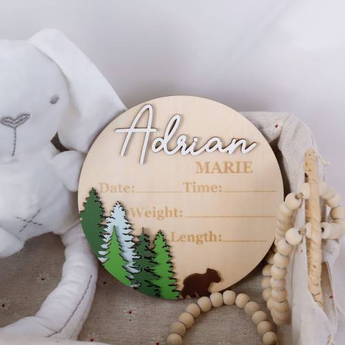 Baby Birth Stats Round Sign, Forest Theme, Baby Name Announcement, Birth Announcement, Name Sign, Baby Photo Prop Sign, Personalized Gifts