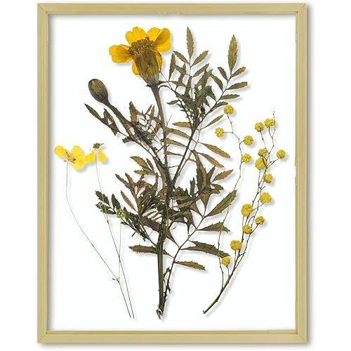 Frametory, Floating Picture Frame 11x14 - Gold Aluminum Metal Photo Frame - Real Glass of Front - for Wall Mount Displays