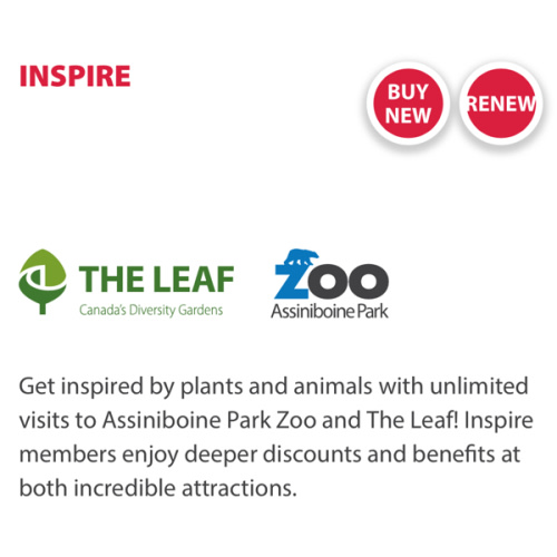 Assiniboine Park Zoo & The Leaf Memberships