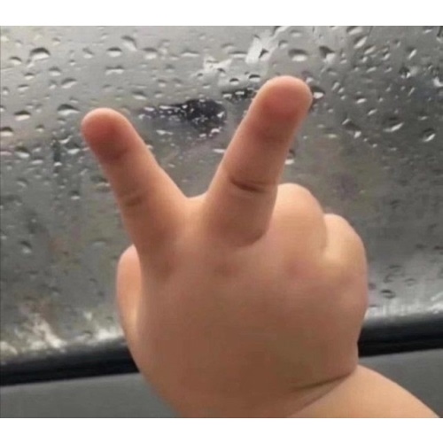 The Baby Budget 🎀