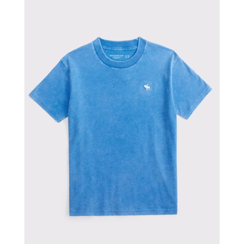 washed essential icon crew tee