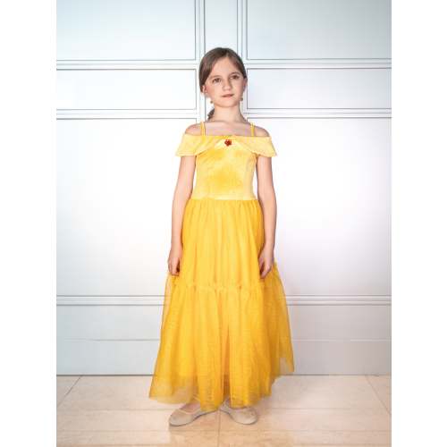 The Enchanted Rose Princess Dress