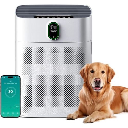 HEATDAZ Smart Air Purifier for Home & Large Room up to 1076 ft², Compatible with Wi-Fi and Alexa, PM2.5 Air Quality Display, HEPA Filters
