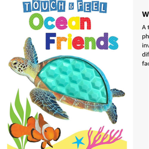 Ocean Friends - Touch and Feel Board Book - Sensory Board Book