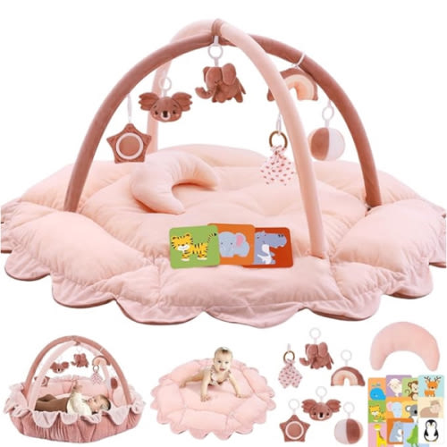 5-in-1 Plush Baby Play Gym Activity Mat - Pink
