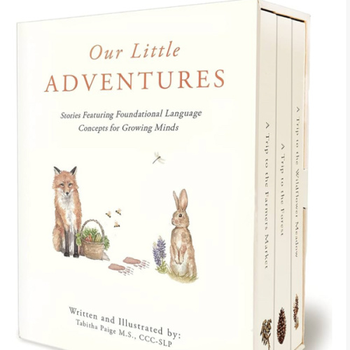 Our Little Adventures: Stories Featuring Foundational Language Concepts for Growing Minds (Tabitha Paige Children's Book Series)