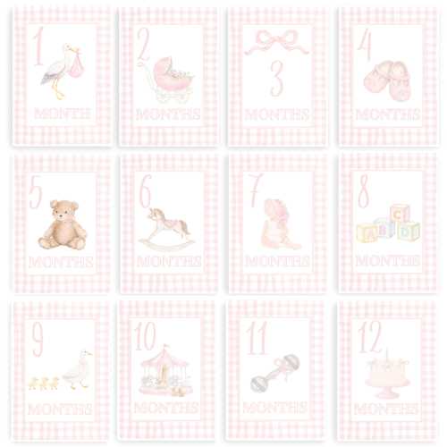 READY TO SHIP Baby Girl Milestone Cards, Pink Gingham Watercolor, Linen Texture Photo Props