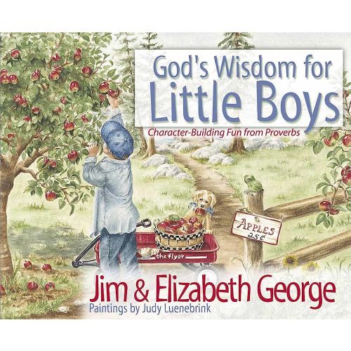God's Wisdom for Little Boys: Character-Building Fun from Proverbs