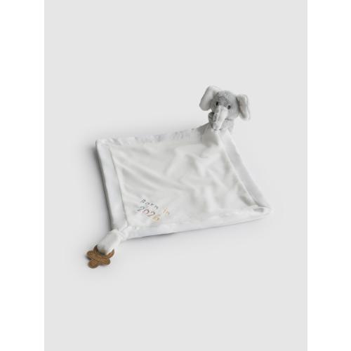 Born in 2026 Baby Comforter