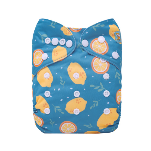 ALVABABY Print Cloth Diaper - One Size Adjustable Washable & Reusable Diaper for Babies and Toddlers (Lemon, H452A)