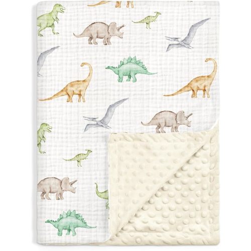 Dinosaur Baby Blanket