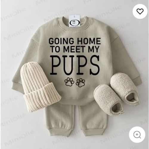 GOING HOME TO MEET MY PUPS Baby Grey Green 2-piece Set