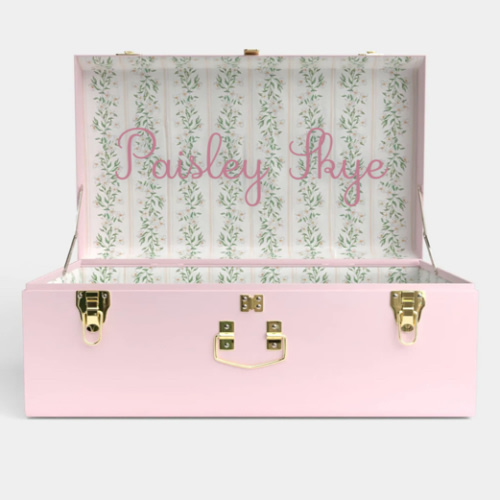 Grand Trunk - Pink | Petite Keep