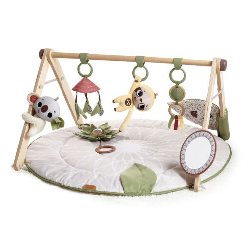 Developmental Activity Mat