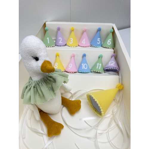 Baby Milestone Hat Set with Goose Plush – Monthly Photo Props, Pastel Shower Gift