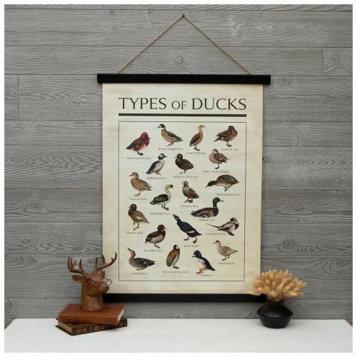 Types Of Ducks Tapestry Wall Decor