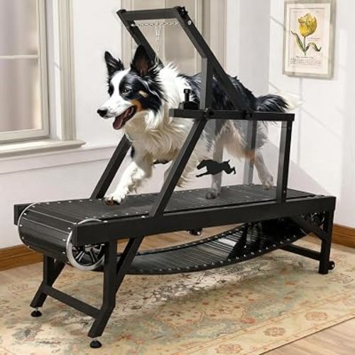 Dog Treadmill, HotFeed Dog Slat Mill for Medium Dogs, Doggy Treadmill with Brake & Plastic Track, Dog Pacer Treadmill to Keep Active and Fit, Up to 300LBS