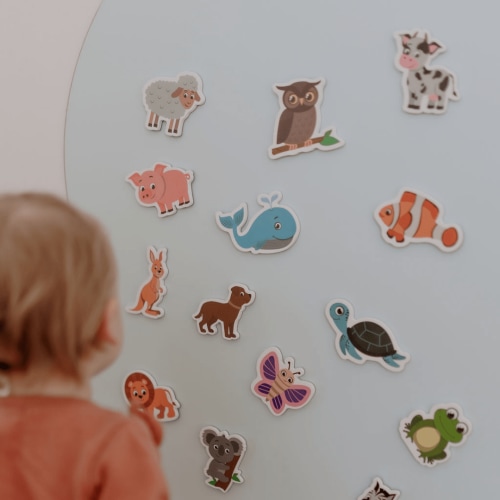 Bundle: MagPlay Wall Magnetic Decal + Board