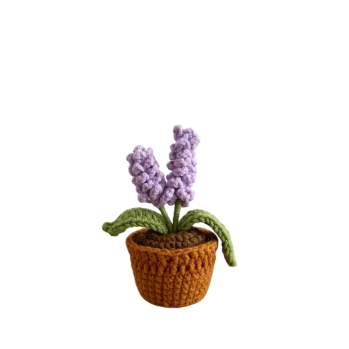 Mini Lavender Pot Plant