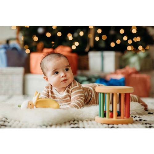 Mini Rolling Wheel Rattle