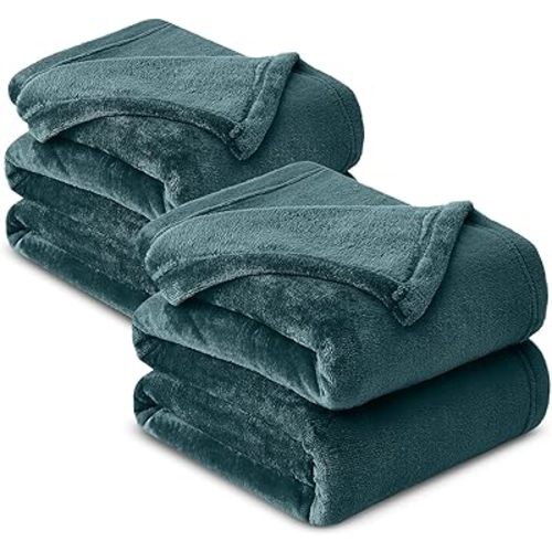 IR Imperial Rooms Fleece Blanket 2 Pack Twin Size 60x80 Inches - Super Soft Fluffy Throw Blanket for Sofa and Bed - Warm and Cozy Lightweight 400 GSM Microfiber Bed Throws Blankets (Twin, Emerald)