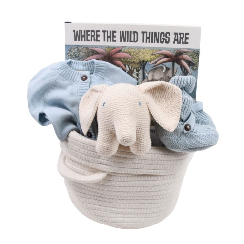 Cute Baby Boy Gift Basket or Girl - Wild About You