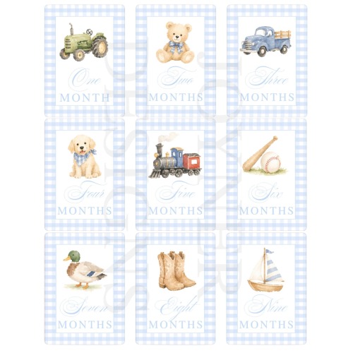 Southern Baby Boy Milestone Cards