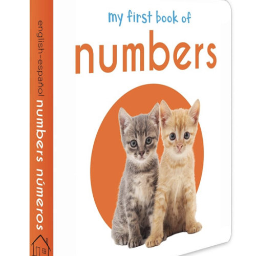 My First Book of Numbers: First Board Book