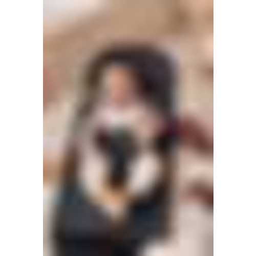 BabyBjörn Bouncer Bliss