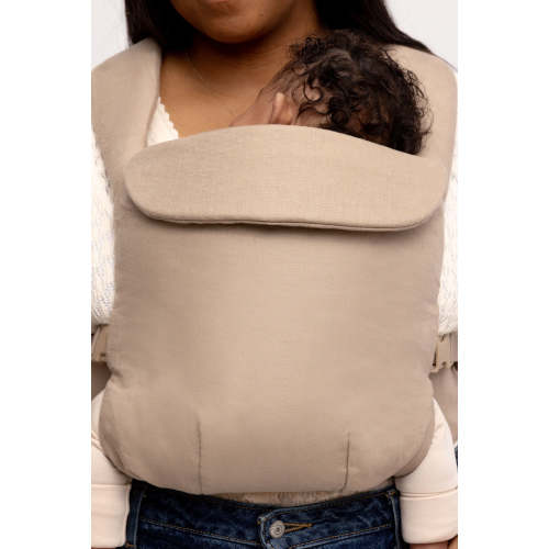 Desert Lark - Aerial Carrier – WildBird