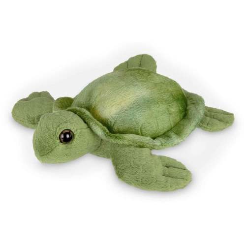 7" Sea Turtle Lil' Shelton