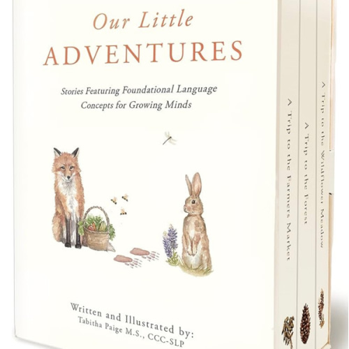 Our Little Adventures: Stories Featuring Foundational Language Concepts for Growing Minds (Tabitha Paige Children's Book Series)