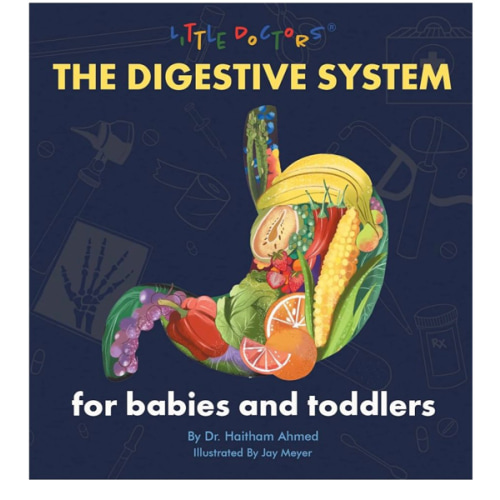 The Digestive System for Babies and Toddlers