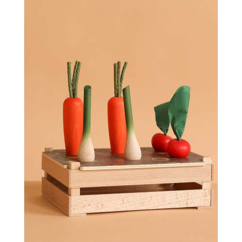 Erzi Vegetable Patch Garden Set
