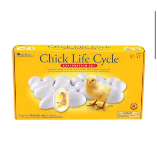 Learning Resources® Chick Life Cycle Exploration Set