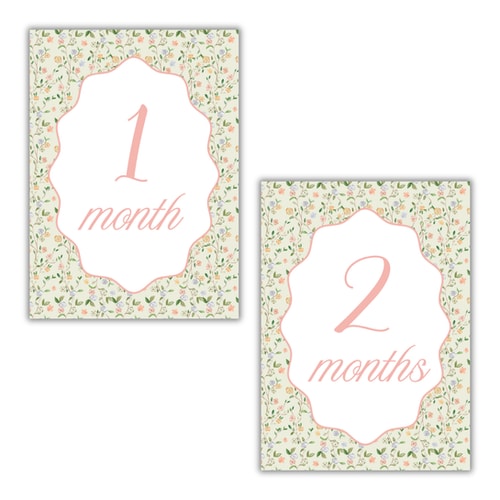 Chinoiserie Milestone Cards
