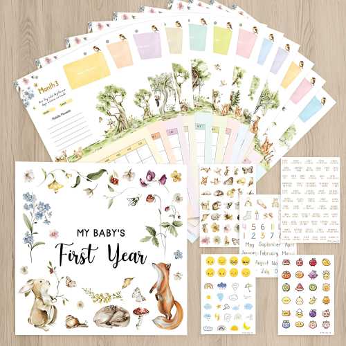 Baby Calendar First Year with Stickers, 12 Month Milestone Tracker