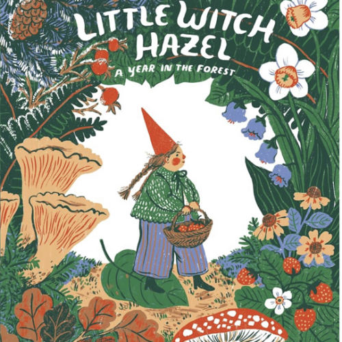 Little Witch Hazel: A Year in the Forest
