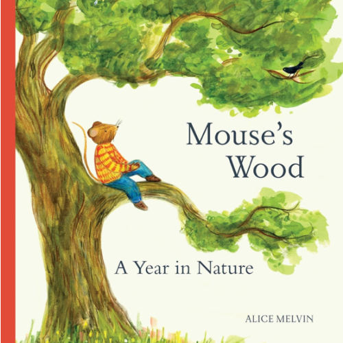 Mouse's Wood: A Year in Nature (Mouse’s Adventures)