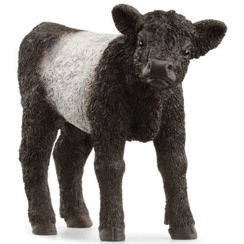 Galloway Calf (Schleich)