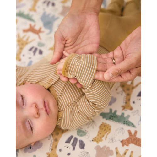 Hazelwood Stripe Henley Bodysuit – Little Sleepies