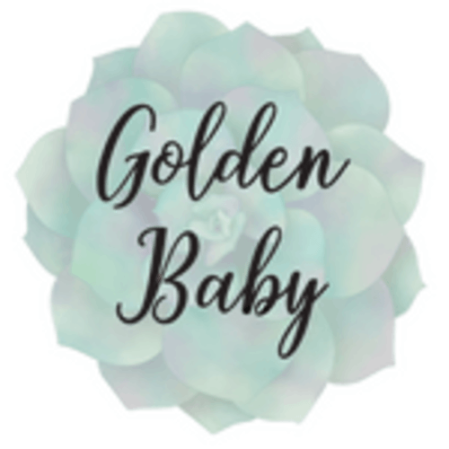 Itzy Ritzy Diaper Bag // Boss Plus // Matcha – Golden Baby