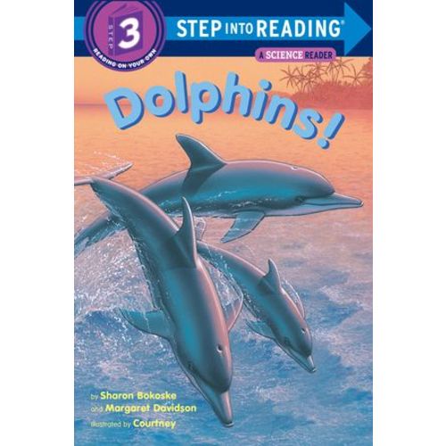 Dolphins!