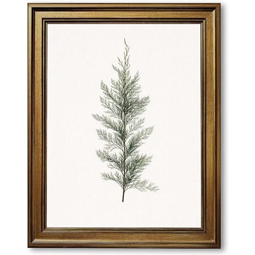 Framed Cedar Branch Poster Canvas Print Art Minimalist Aesthetic Rustic Wall Art Painting Pictures Wall Decor for Living Room Bedroom Apartment Home Decor (Retro Framed,8L x12W)