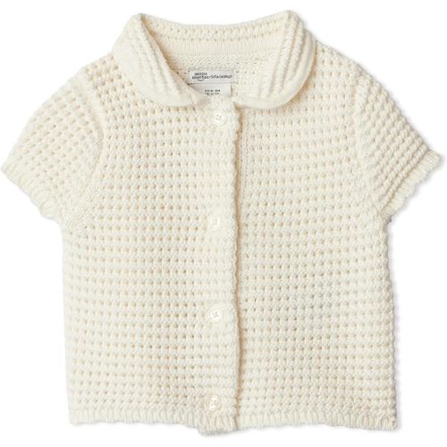 Amazon Essentials x Sofia Grainge Toddlers and Baby Girls' Cotton Short Sleeve Button Front Sweater with Peter Pan Collar