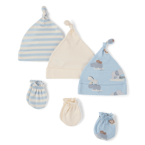 Baby Boys Animal Hat And Mittens 6-Piece Set - Blue