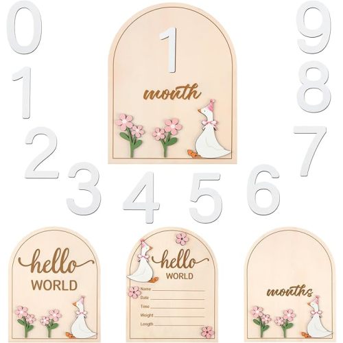 Colingmill 2 Pcs Monthly Baby Milestone Signs Cards with Pink Bow Wooden Coquette Discs Newborn Photography Props to Document Your Baby's Growth 1-12 Newborn Gift for Girl and Boy(Silly Goose)