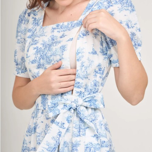 Versa Cotton Dress with Nursing Zippers in Vintage Blue Toile