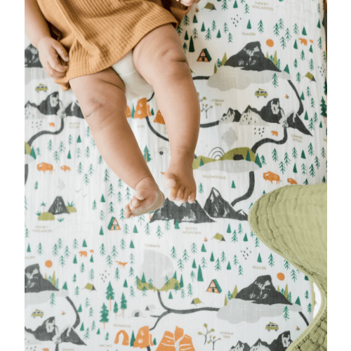 National Parks Crib Sheet