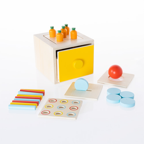 4-in-1 Sorting Box